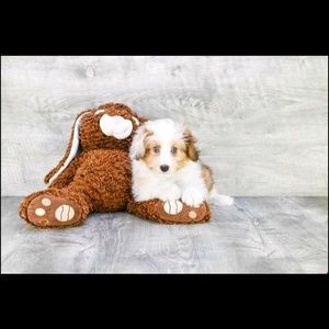 Meet your Posher, Nancy